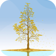 Programikonen: Ginkgo Tree Live Wallpape…