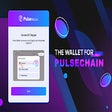Programın simgesi: Pulse Wallet Chromium