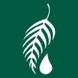 Ikon program: Melaleuca