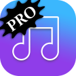 MP3 Music Player - PRO