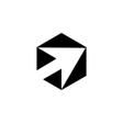 Programikonen: Bizom Bug Assistant