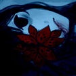 Icoon van programma: Parasite Flower