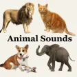 Animal Sounds 3D