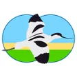 Icoon van programma: Vogels van Nederland en B…