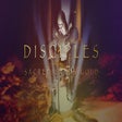 Icon of program: Disciples: Sacred Lands G…