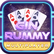 Programikonen: Gin Rummy Multiplayer