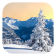 Programikonen: Winter Live Wallpaper