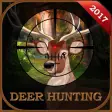 Wild Deer Sniper Hunting :