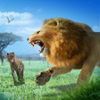 Icon of program: Rise of Lion King