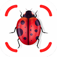プログラムのアイコン：Insect identifier - ident…