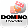 Ícone do programa: Domino FLV Video Converte…