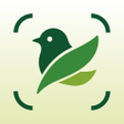 Ikona programu: Identify Bird Sounds  Pho…