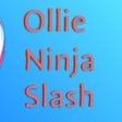 Icon of program: Ollie Ninja Slash