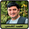 Ícone do programa: آهنگ های نجیب کشمی