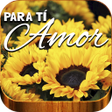 プログラムのアイコン：Girasoles de AmorFrases d…