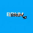 Programikonen: Bruv