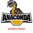 プログラムのアイコン：AnacondaVPN
