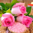 Programikonen: Flowers Wallpapers HD