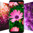 程序图标:Flower Wallpapers in HD 4…