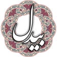 Ikon program: بیدل