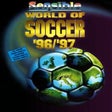 程序图标：Sensible World of Soccer …