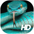 プログラムのアイコン：Snake Wallpaper HD
