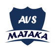 Programikonen: AVS MATKA