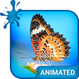 Programikonen: Tiger Butterfly Keyboard …