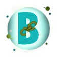 ไอคอนของโปรแกรม: Bing Webmaster Tools Bulk…