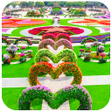 Programikonen: Garden Photo Frames