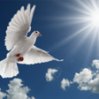Programikonen: Litany of the Holy Spirit