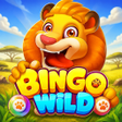 Programikonen: Bingo Wild - Free BINGO G…