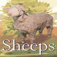 程序图标：Sheeps