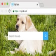 Icon of program: Cute Zoo