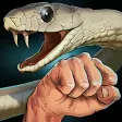Money or Death - snake attack