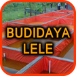 Icon of program: Budidaya Ikan Lele Terpal