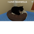 I LOVE MAXWELLS Maze