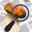 プログラムのアイコン：Mushroom Identify  Automa…