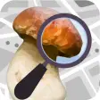 Mushroom Identify  Automatic picture recognition
