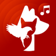 程序图标：animal sounds for phone