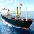 Programikonen: Ship Games Simulator Pro