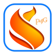 Programikonen: TAS Fires