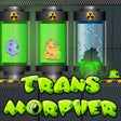 أيقونة البرنامج: Transmorpher 1