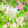 Icon of program: Gentle Flowers Live Wallp…