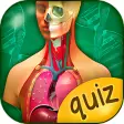 The Human Anatomy Quiz App On Human Body Organs