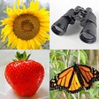 Symbol des Programms: Guess Pictures and Words …