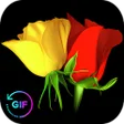 程序图标：Flowers And Roses Animate…