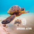 Ícone do programa: Nature Wallpapers New Tab…