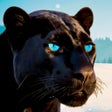 Icoon van programma: Wild Black Panther Furiou…