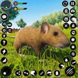 程序图标：Wild Mouse Family Sim 3D